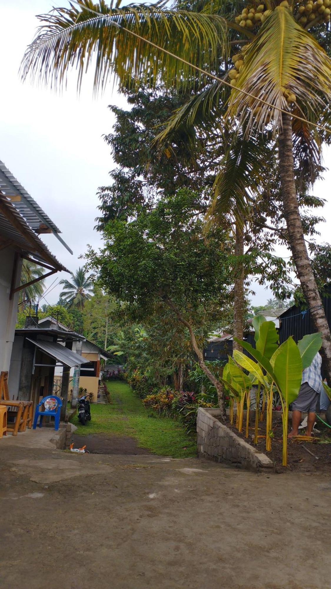 Tatasya Homestay Senaru Exteriör bild